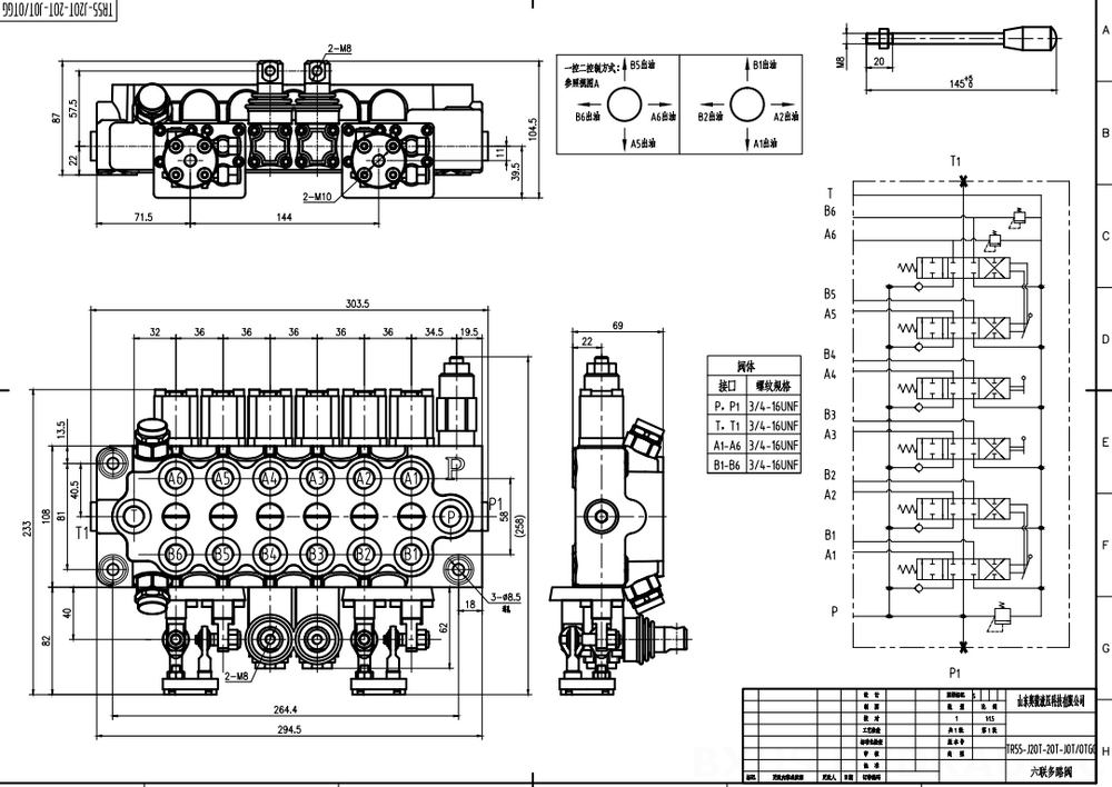 TR55 Manuell och Joystick 6 spolar Monoblockstyrvventil drawing image