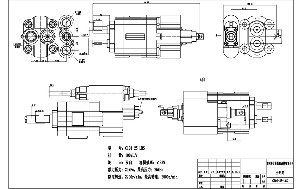 C101-25-LAS 112 cc/varv Hydraulisk kugghjulspump drawing image