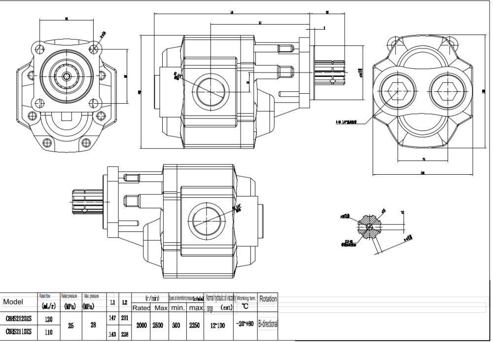 CBHST1-ISO-110 110 cc/varv Hydraulisk kugghjulspump drawing image