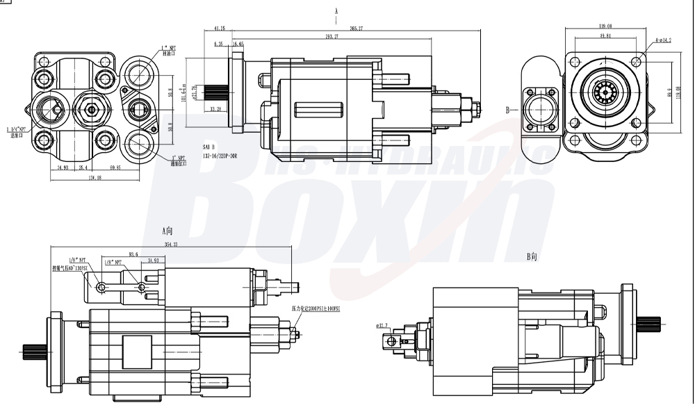 C102 100 cc/varv 20 MPa (2900 psi) Hydraulisk kugghjulspump drawing image