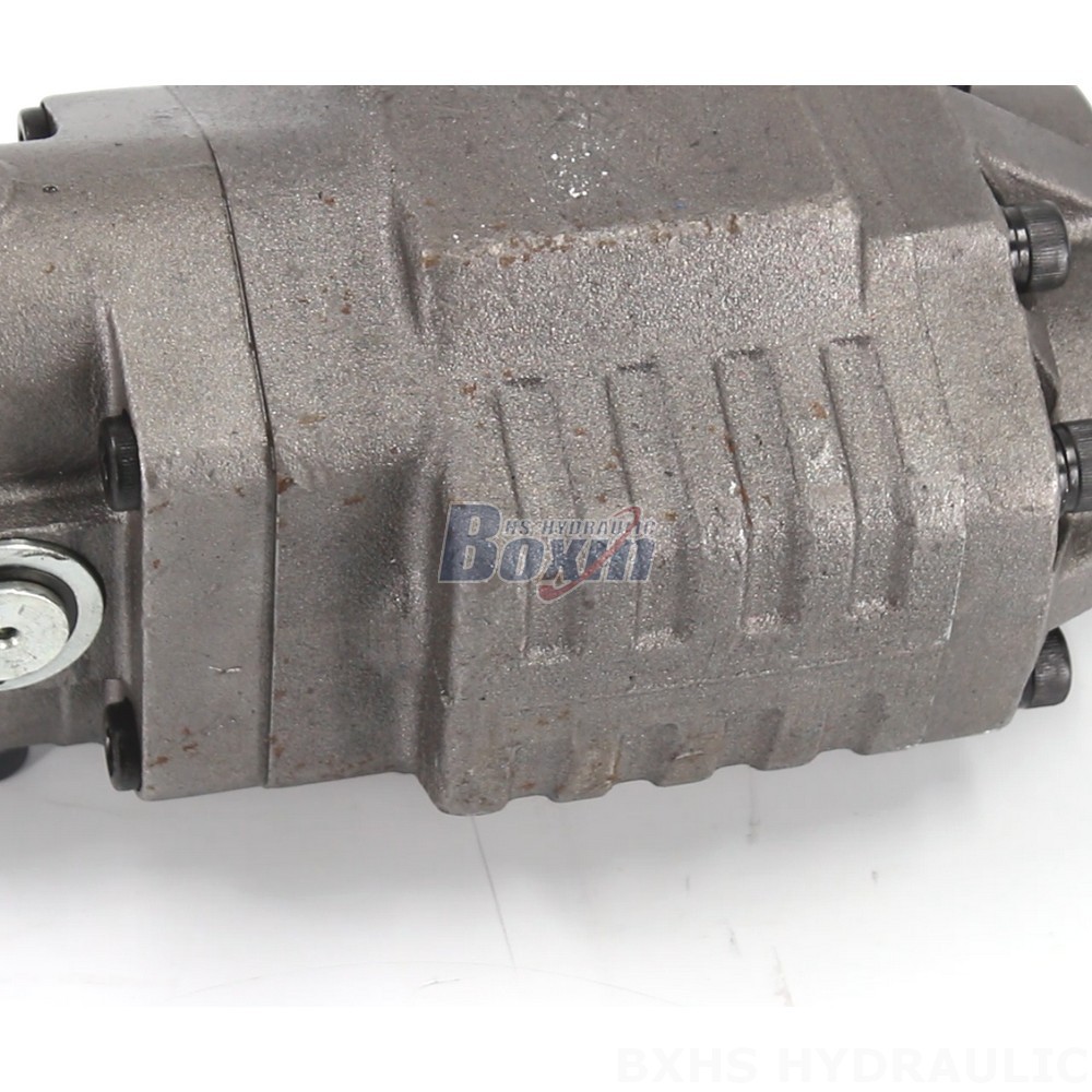 BF110M Hydraulic Gear Pump: OEM, ODM, Private Label, and Custom Solutions Available detail image