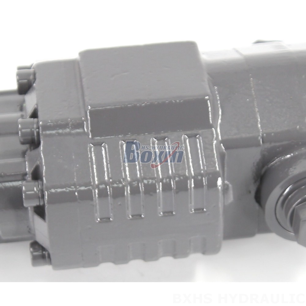 BF82A 20 MPa (2900 psi) Hydraulic Gear Pump: OEM, ODM, Customization & Private Label Manufacturing Services detail image