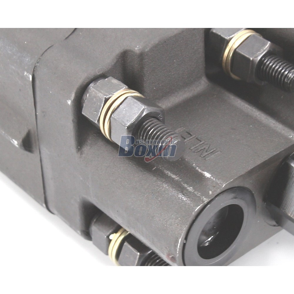 High Performance C102-LMS-25 100 cc/rev External Gear Pump detail image