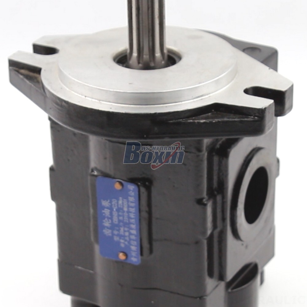 Private Label & OEM Manufacturing: 20 cc/rev Hydraulic Gear Pumps for Your Brand detail image