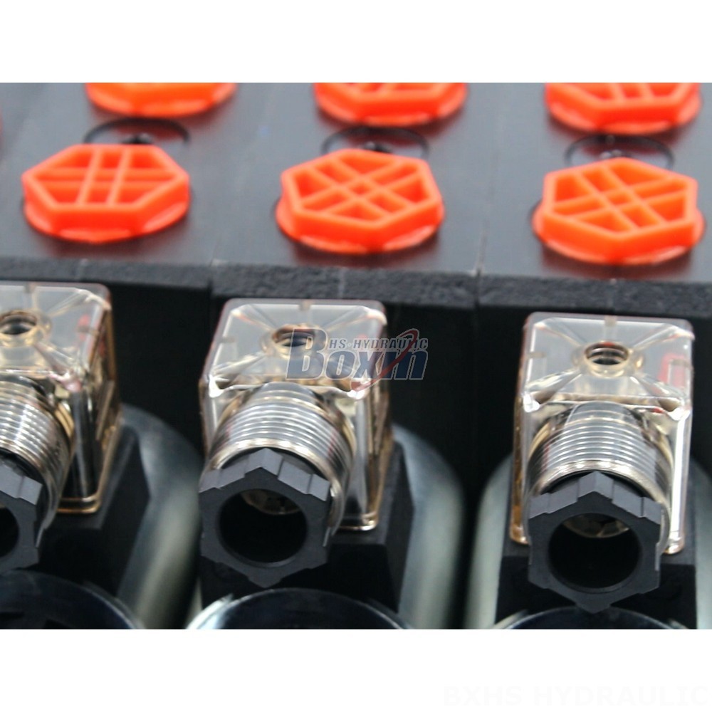 OEM Solutions: Private Label Manufacturing for DCV58 Solenoid Valves detail image