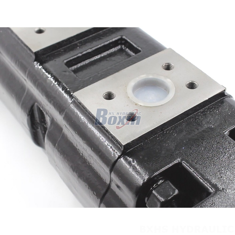 100 cc/rev Hydraulic Gear Pump JHP2100-2080-1016 | Global Supplier detail image