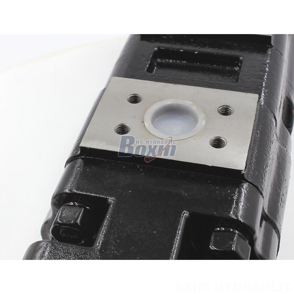 100 cc/rev Hydraulic Gear Pump JHP2100-2080-1016 | Global Supplier detail image