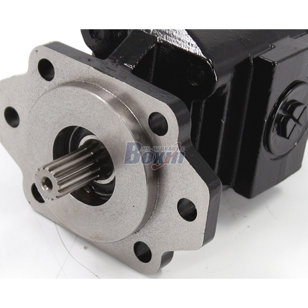 Global Partnership Opportunity for P21A646JEAL20-25 64.6 cc/rev Hydraulic Gear Pump Distribution detail image