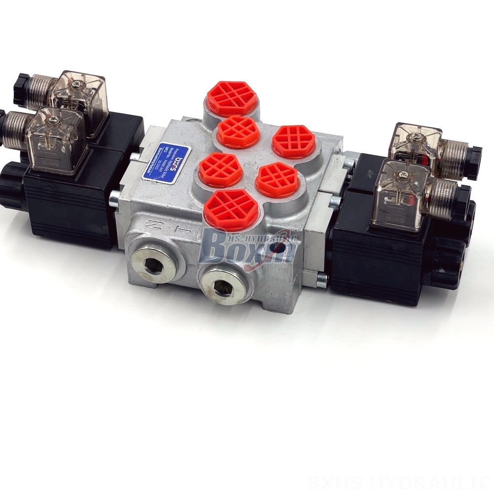 Industrial Solenoid Valve: P40-DKL | Customized Solutions & Engineering Support detail image