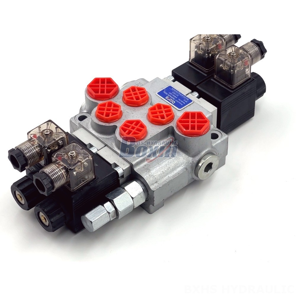 Manufacturer of P40-DKL Monoblock Valves: Wholesale & Customization Available detail image