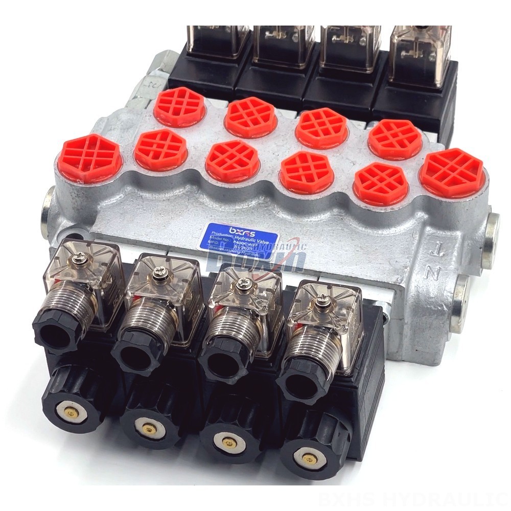 High-Quality Hydraulic Valves: P40-DKL Series | Direct from the Manufacturer detail image