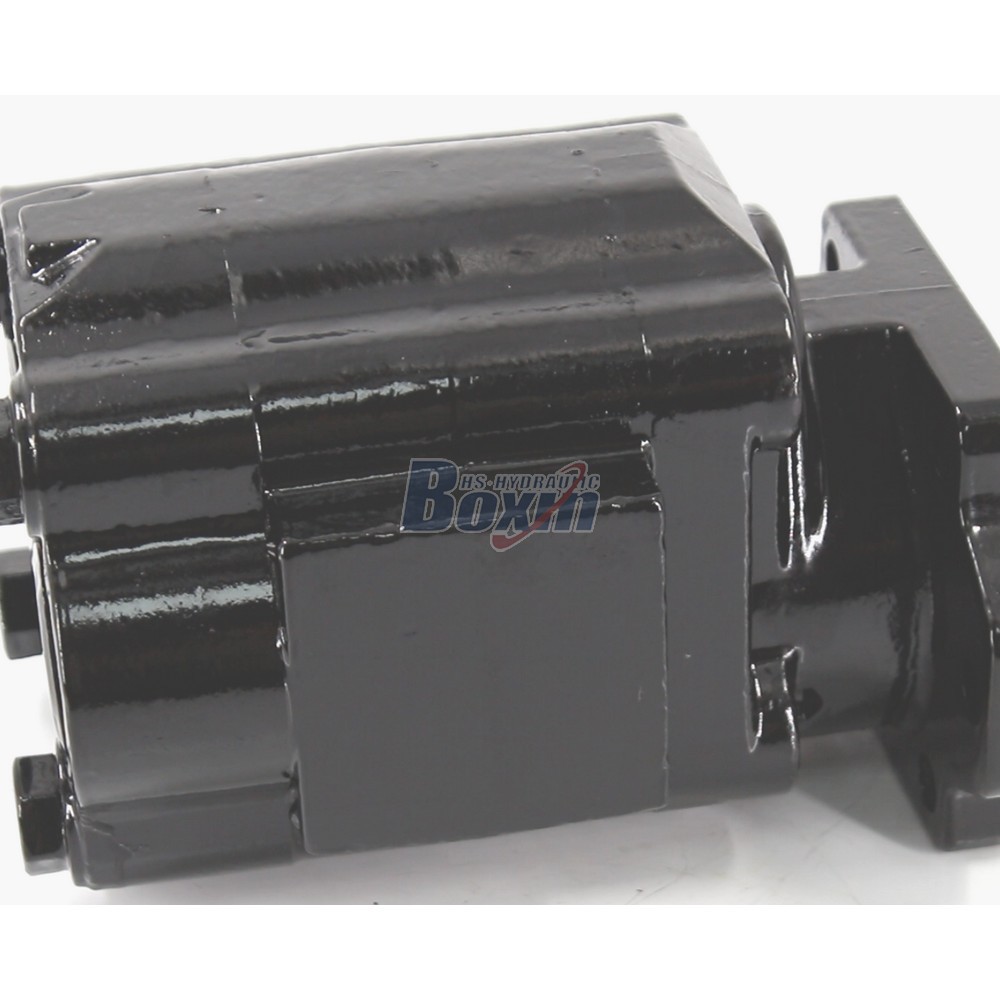 Seeking Global Distributors and Wholesalers for P51A646TEYR25-25 Gear Pump detail image