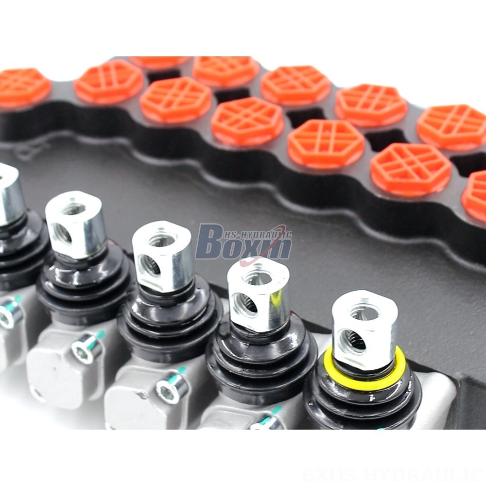 Manual Monoblock Directional Valve - P80-G12-G34 Series | Wholesale & OEM detail image