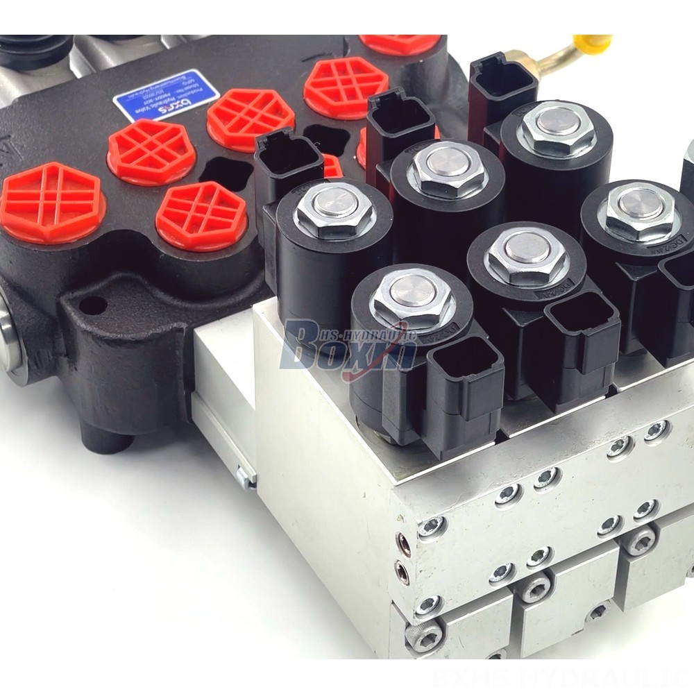 P80 Valves:  Flexible Manufacturing Options - OEM, ODM, Private Label detail image
