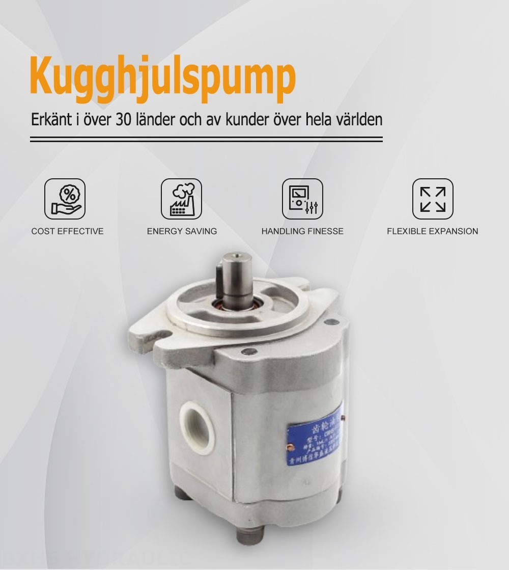 CBHS-F316 Förskjutning per varv Hydraulisk kugghjulspump