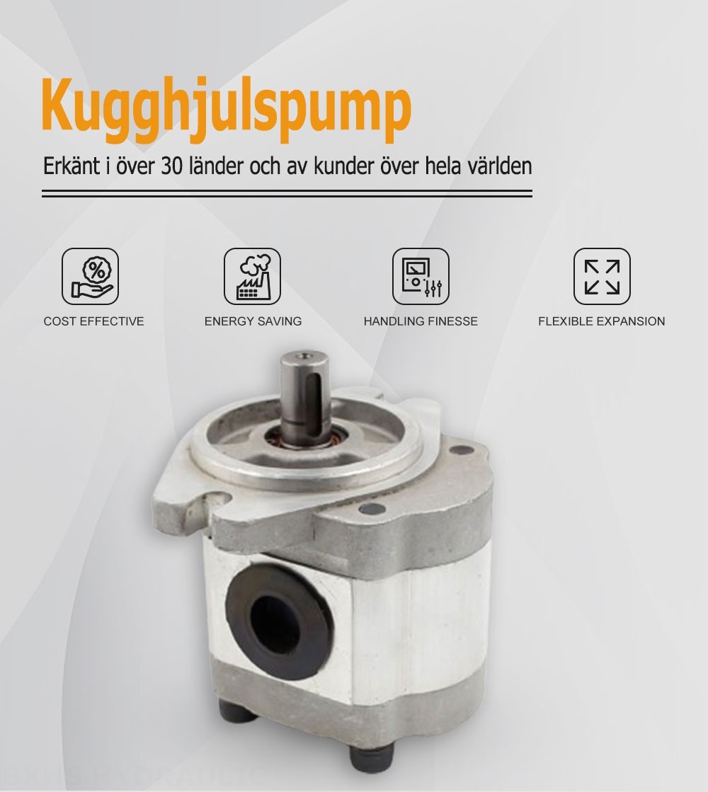 CBHS-FL-306 Förskjutning per varv Hydraulisk kugghjulspump