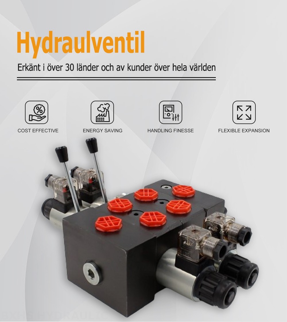 DCV58 Solenoid 2 spolar Sektionsstyrvventil