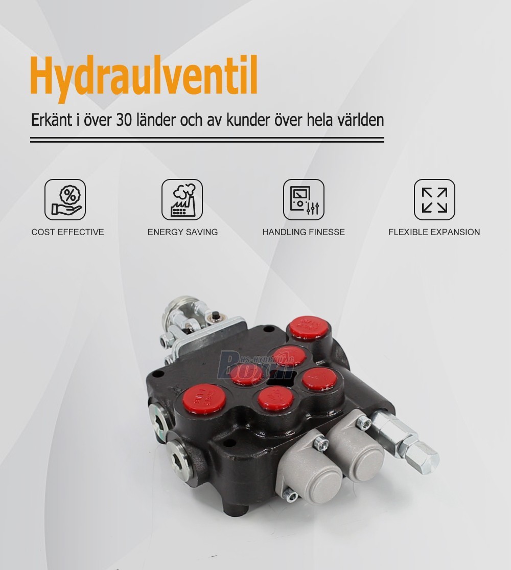 OEM and Custom P80-U1-J2OT Joystick 2 Spool Directional Valve Private Label Services