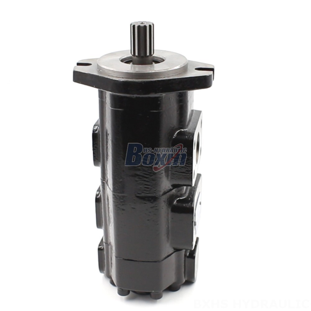 Private Label 40 cc/rev Hydraulic Gear Pumps: OEM & ODM Solutions main image