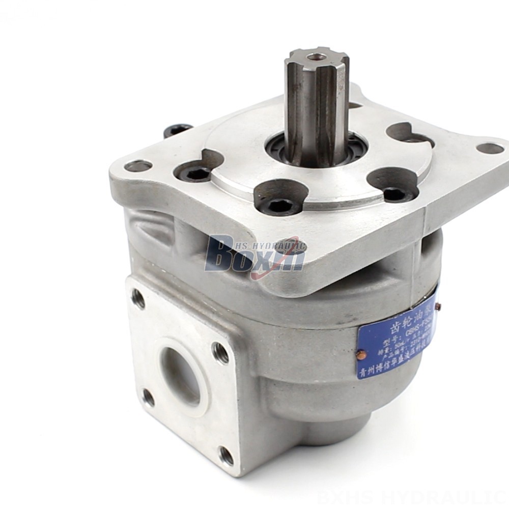 CBHS-F550 Gear Pump OEM/ODM: Tailored Solutions for Your Applications main image