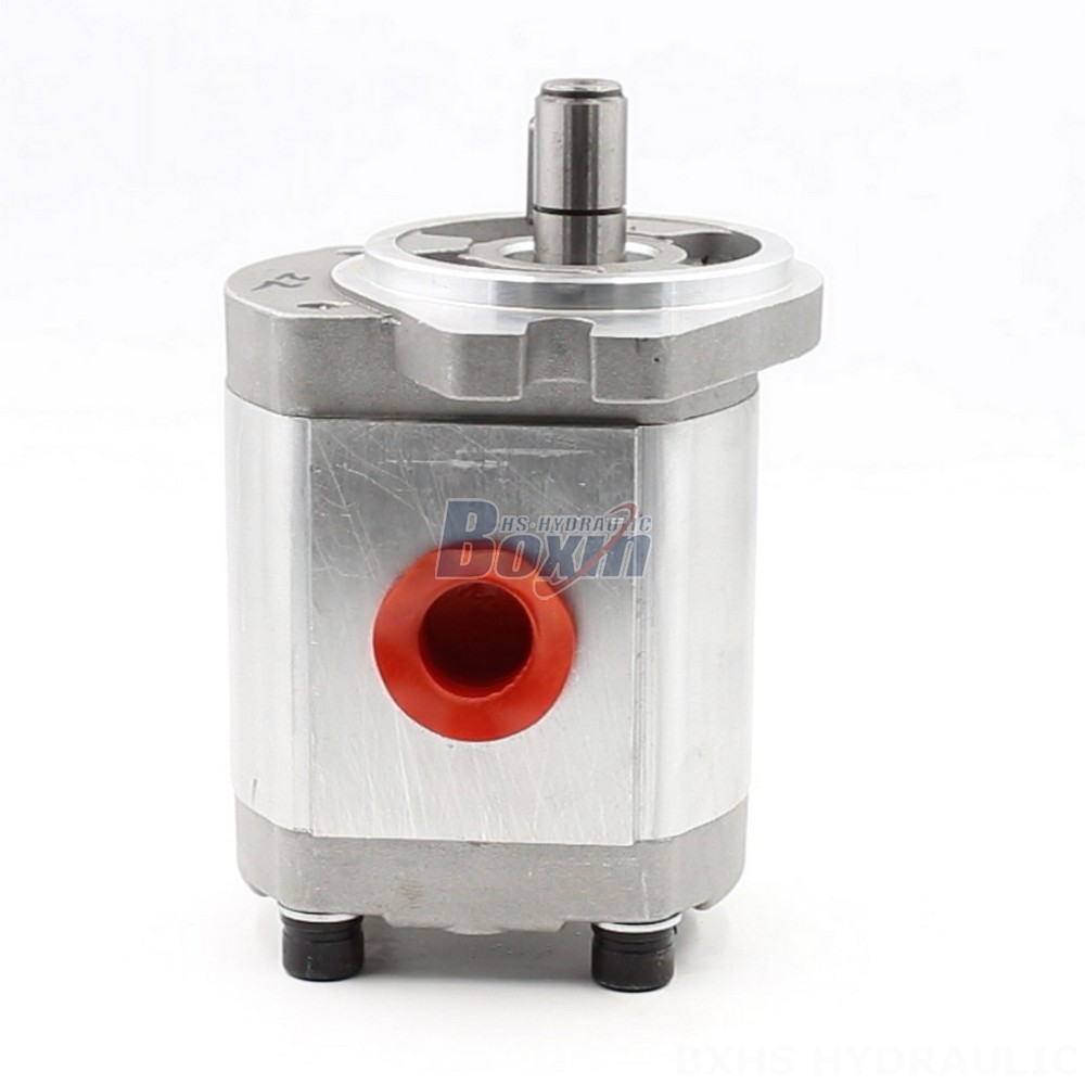 CBHS-FL304 4 cc/rev Hydraulic Gear Pump: OEM & ODM Services Available cover photo