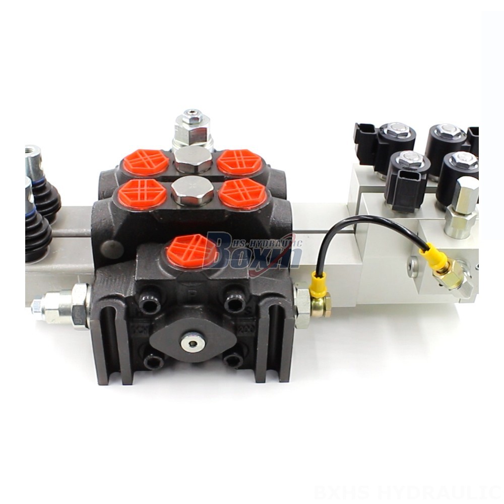 Looking for Electro-hydraulic Valve OEM/ODM? DCV200 Series Available for Customization cover photo