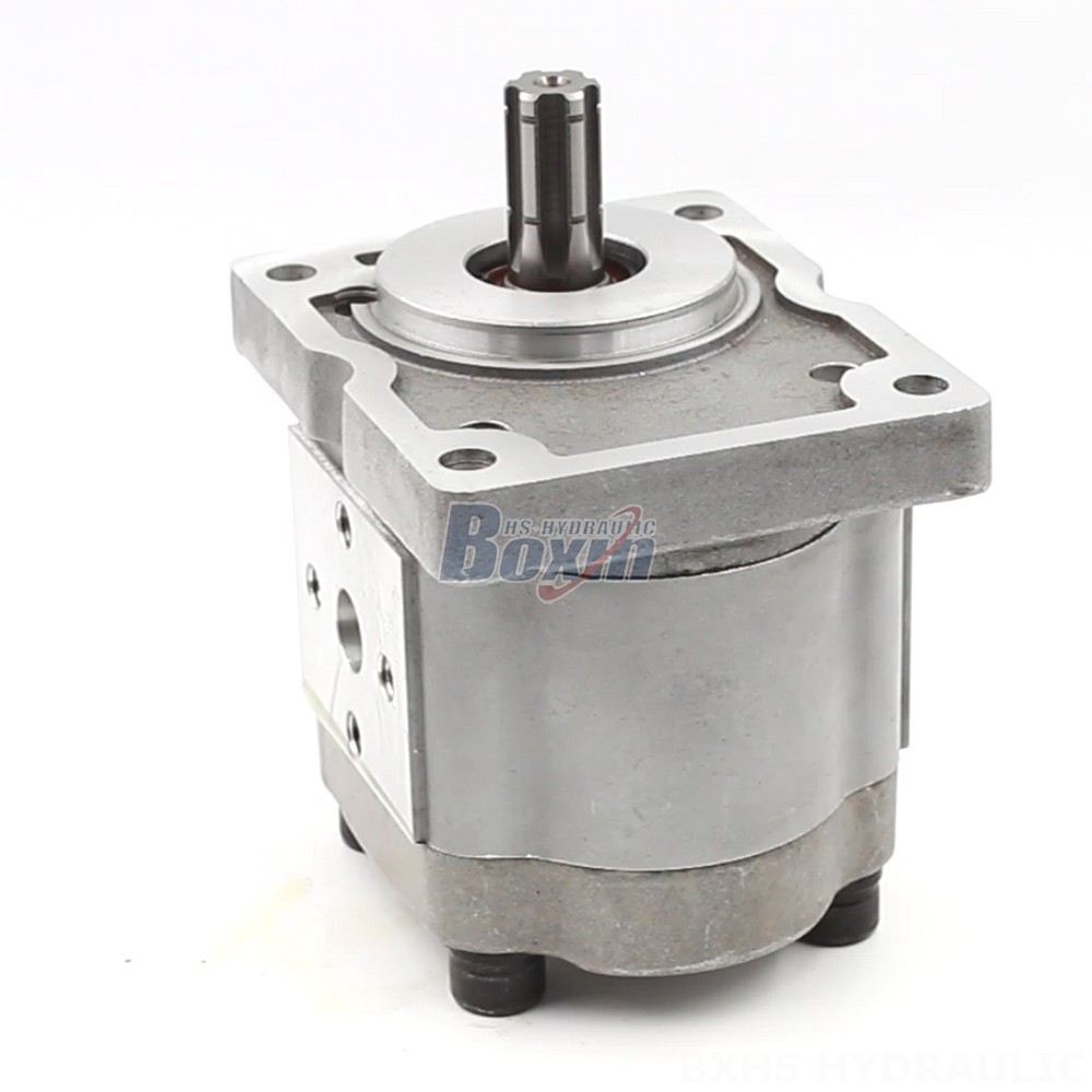 NSH-10 Hydraulic Gear Pump: Features, Specifications, and Applications cover photo