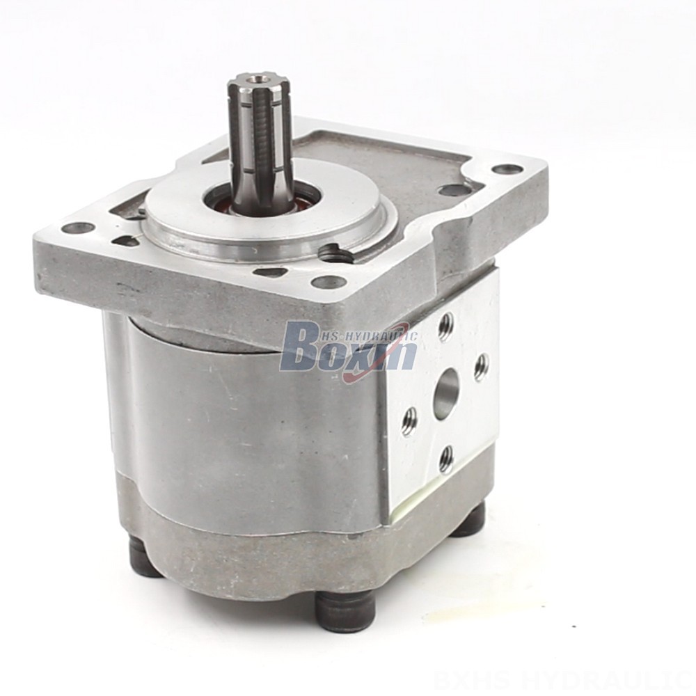 Private Label Hydraulic Gear Pumps: NSH-10 Series with Your Brand Name main image