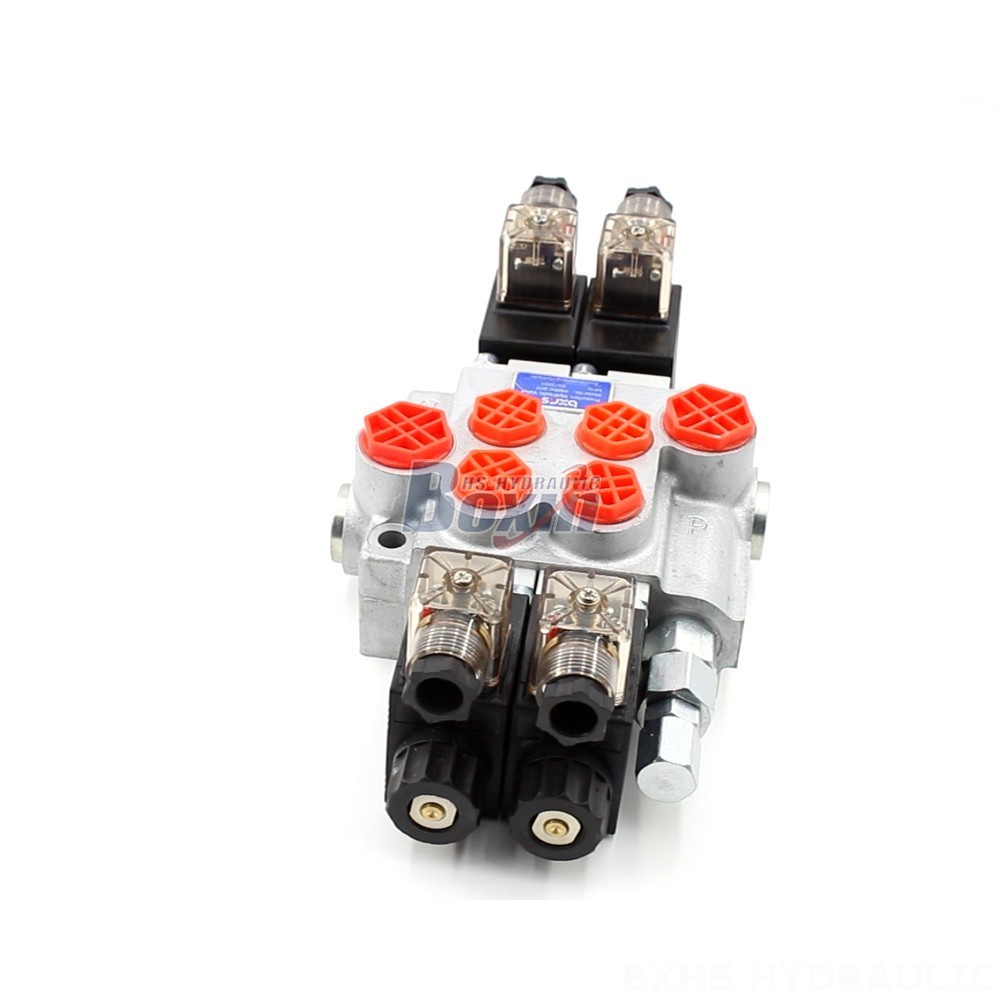 Manufacturer of P40-DKL Monoblock Valves: Wholesale & Customization Available main image