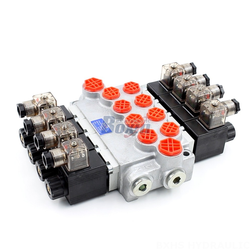 High-Quality Hydraulic Valves: P40-DKL Series | Direct from the Manufacturer main image
