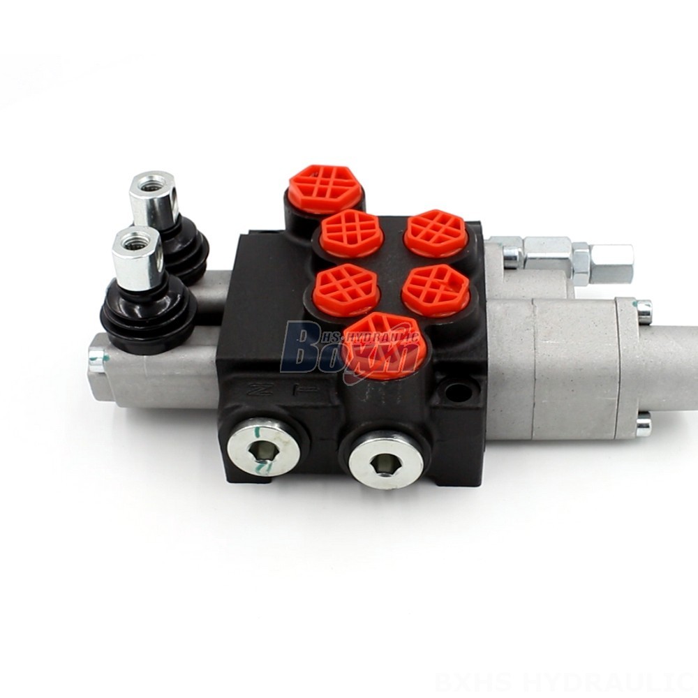P40-G12-G38-OT-QTW1 Monoblock Valve | Installation & Maintenance Guide cover photo